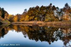 Riflessi d'autunno Riflessi d'autunno