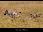 La legge della natura La legge della natura