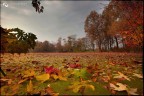 Colori d'autunno stagno della Torrazza