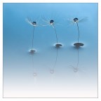 fantascienza.. fantascienza..