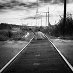 Essere choosy Essere choosy