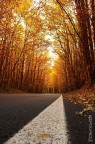 Rosso autunno Rosso autunno