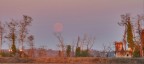 nasce la luna al calar del sole.... nasce la luna al calar del sole....