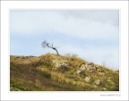 la natura resiste... la natura resiste...
