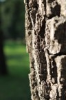 Ciao,sono nuova,mi  stata regalata la canon 1100D e mi st cimentando nelle mie prime foto.

Critiche e commenti sono ben accetti.