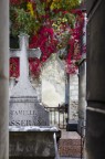 Cimitero di Monmartre (parigi)
Suggerimenti e commenti sempre ben accetti