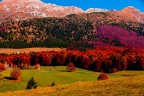 Autunno 2012