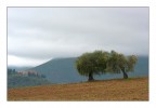 Giovane coppia osserva la casa dei sogni Giovane coppia osserva la casa dei sogni