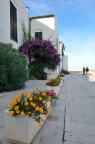 Termoli