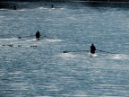 Canoisti