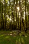 al parco al parco