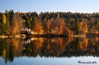 Riflessi d'autunno Riflessi d'autunno