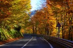 Autunno Autunno