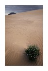 Las Dunas de Corralejo - Fuerteventura