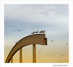 Il trampolino... olimpionico Il trampolino... olimpionico