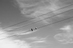 connessioni connessioni