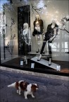 Fido fa shopping Fido fa shopping