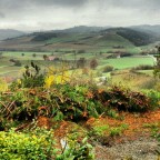 Rainy day in Cuccaro Monferrato... Rainy day in Cuccaro Monferrato...