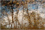 Pointillisme autunnale Pointillisme autunnale