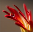 acqua & fuoco acqua & fuoco