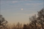 Coro alla luna... Coro alla luna...