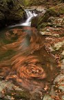 Vortex Vortex