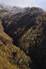 Colori d'autunno Colori d'autunno