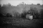 Eos 5D + 70-300IS
1/250s - f7.1 - ISO100

Scattata in una giornata uggiosa sulle colline trevigiane tra i vigneti di Prosecco.

Suggerimenti e critiche sempre ben accetti.