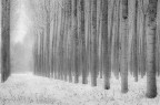 Voglia d'inverno Voglia d'inverno