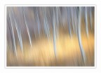 Abstract autumn Abstract autumn