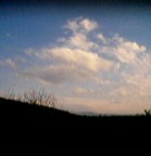 ....questa  la prima foto che ho scattato con il mio cellulare!