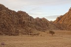 Deserto del Sinai.Novembre 2012 Deserto del Sinai.Novembre 2012
