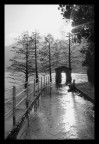Lungo lago aLLAGato Lungo lago aLLAGato