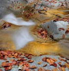 My favorite season My favorite season