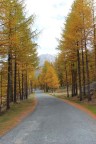 Passeggiata autunnale Passeggiata autunnale