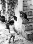 SGUARDI SGUARDI