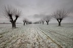 frozenland frozenland