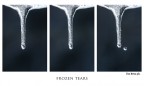 Frozen Tears Frozen Tears