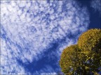 D'autunno D'autunno