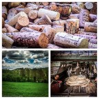 Diversamente uguali, ugualmente differenti... Diversamente uguali, ugualmente differenti...