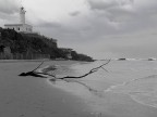 Spiaggia d'inverno