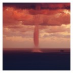 tromba marina tromba marina