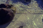 Water Water