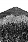 cascina cascina