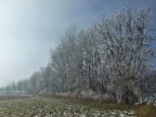 La nebbia si dirada... e lascia la sorpresa!