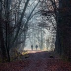 Due chiacchiere nel parco Due chiacchiere nel parco