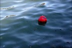 Il pallone rosso
