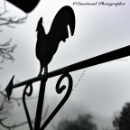 Verso Nord??? - Iphonography Verso Nord??? - Iphonography