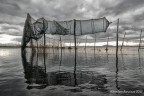 La pesca in laguna La pesca in laguna