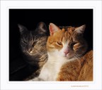 I due...aMICI I due...aMICI